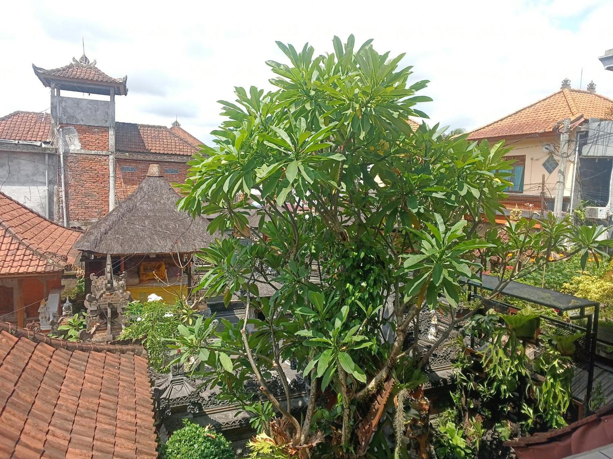 Arjuna Homestay Ubud Buitenkant foto